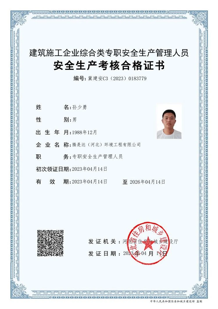 image11 image11